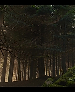 Filename=Fate_The_Winx_Saga_S01E01_1080p__2423.jpg
Filesize=386KiB
Dimensions=1920x1080
Date added=Jan 14, 2026 Fate_The_Winx_Saga_S01E01_1080p__2423.jpg