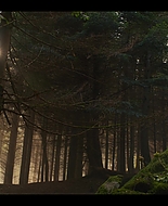 Filename=Fate_The_Winx_Saga_S01E01_1080p__2424.jpg
Filesize=366KiB
Dimensions=1920x1080
Date added=Jan 14, 2026 Fate_The_Winx_Saga_S01E01_1080p__2424.jpg