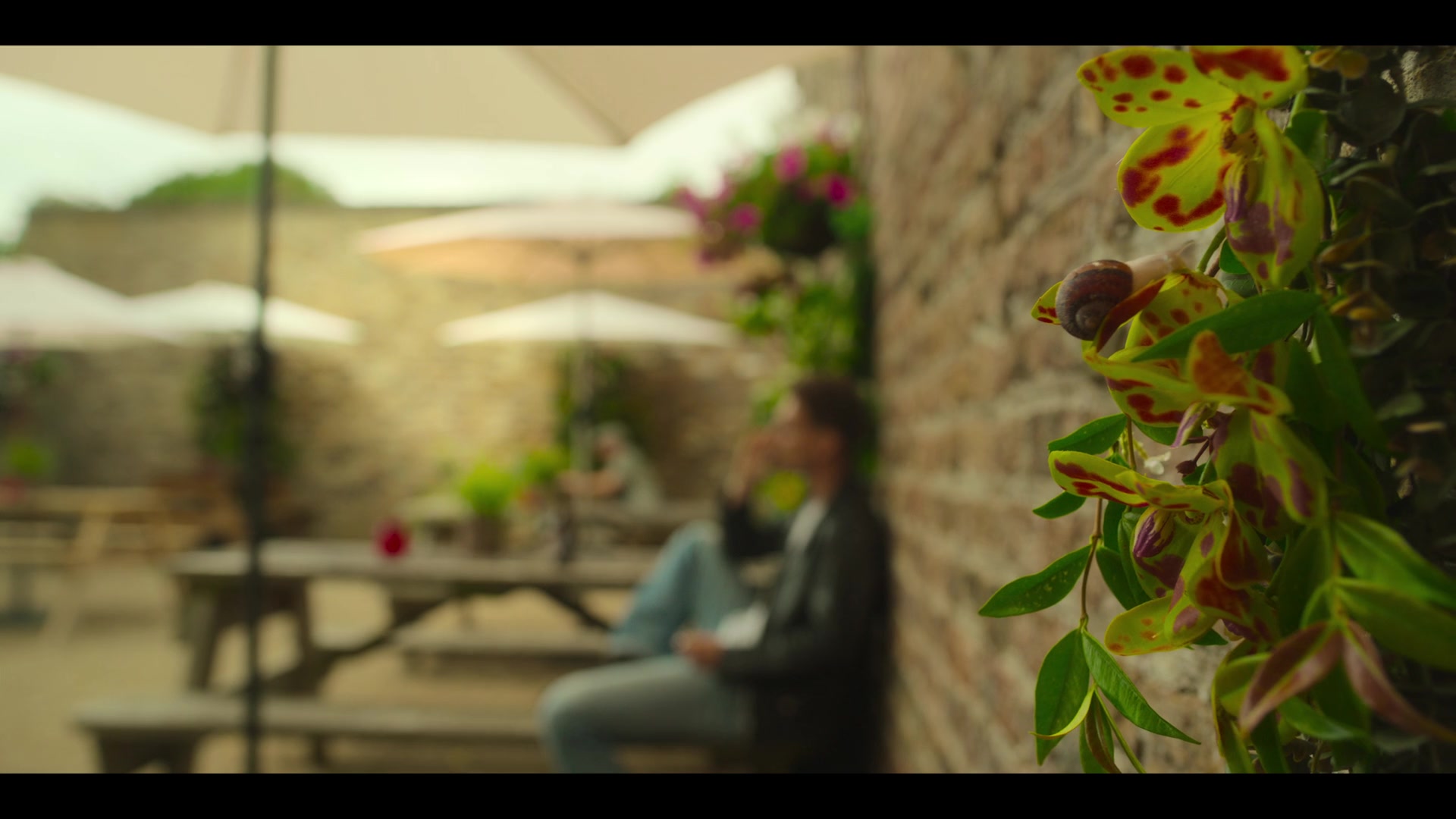 Fate_The_Winx_Saga_S02E04_An_Hour_Before_the_Devil_Fell_1080p__3315.jpg Fate_The_Winx_Saga_S02E04_An_Hour_Before_the_Devil_Fell_1080p__3315.jpg