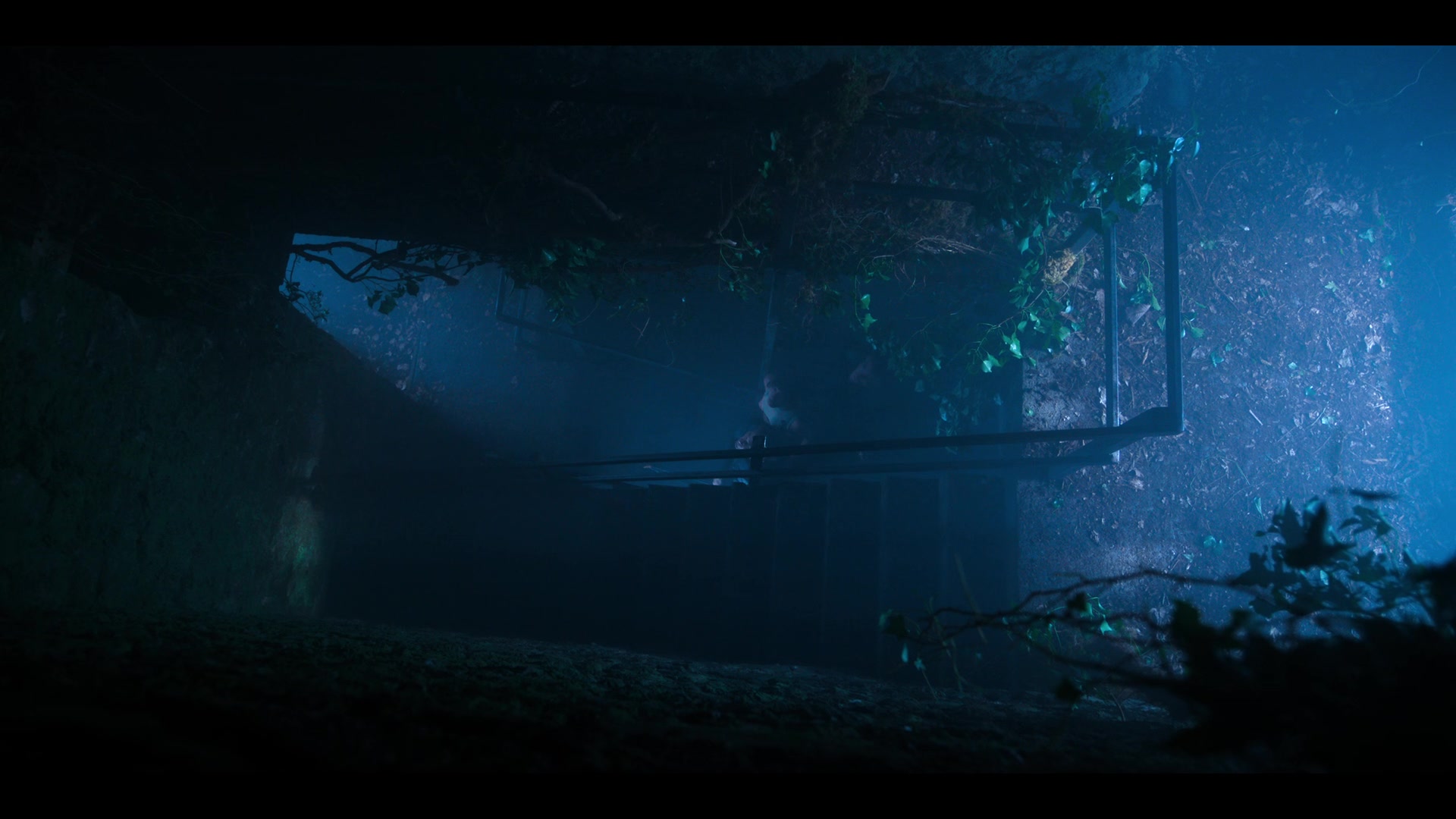 Fate_The_Winx_Saga_S02E04_An_Hour_Before_the_Devil_Fell_1080p__4308.jpg Fate_The_Winx_Saga_S02E04_An_Hour_Before_the_Devil_Fell_1080p__4308.jpg