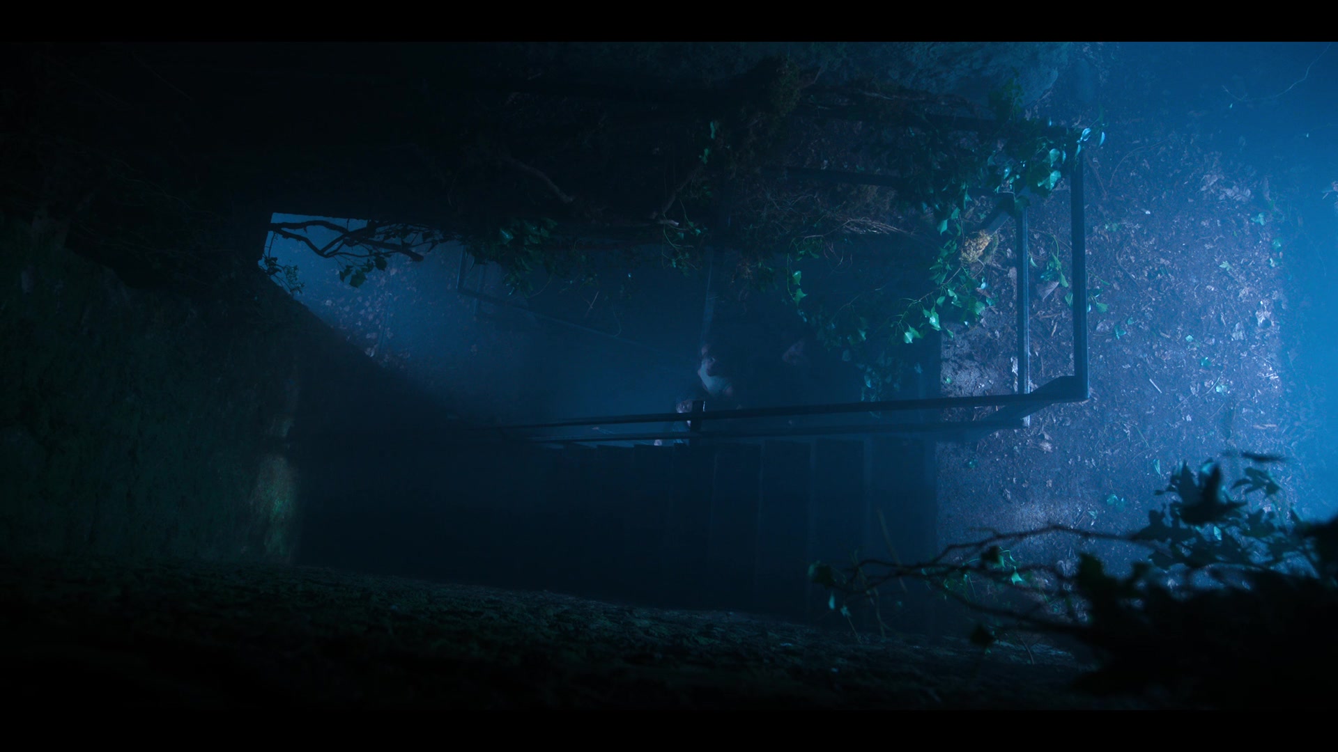 Fate_The_Winx_Saga_S02E04_An_Hour_Before_the_Devil_Fell_1080p__4309.jpg Fate_The_Winx_Saga_S02E04_An_Hour_Before_the_Devil_Fell_1080p__4309.jpg